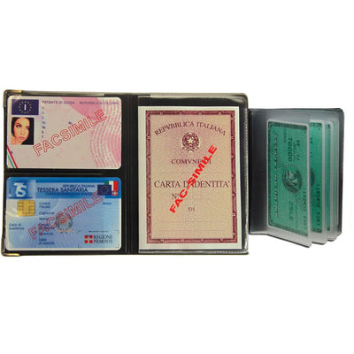 Portadocumenti Alplast Multicard Color Special 1060CS in PVC colorato con scomparti per documenti