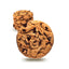 COOKIES FALCONE CIOKO LATTE 50gr (13PZ)