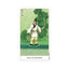 THE CHINESE TAROT DECK BY JUI GUOLIANG