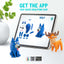 HEY CLAY KIT GRANDE ANIMALI DELLA FORESTA