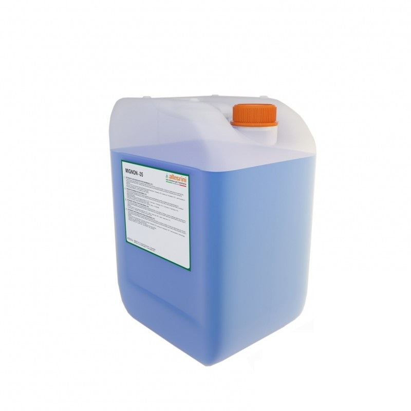 Detergente lavavetro Mignon -26 gradi 20L per cristalli autoveicoli tanica