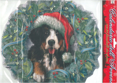 NT 8015 CALENDARIO AVVENTO CANE