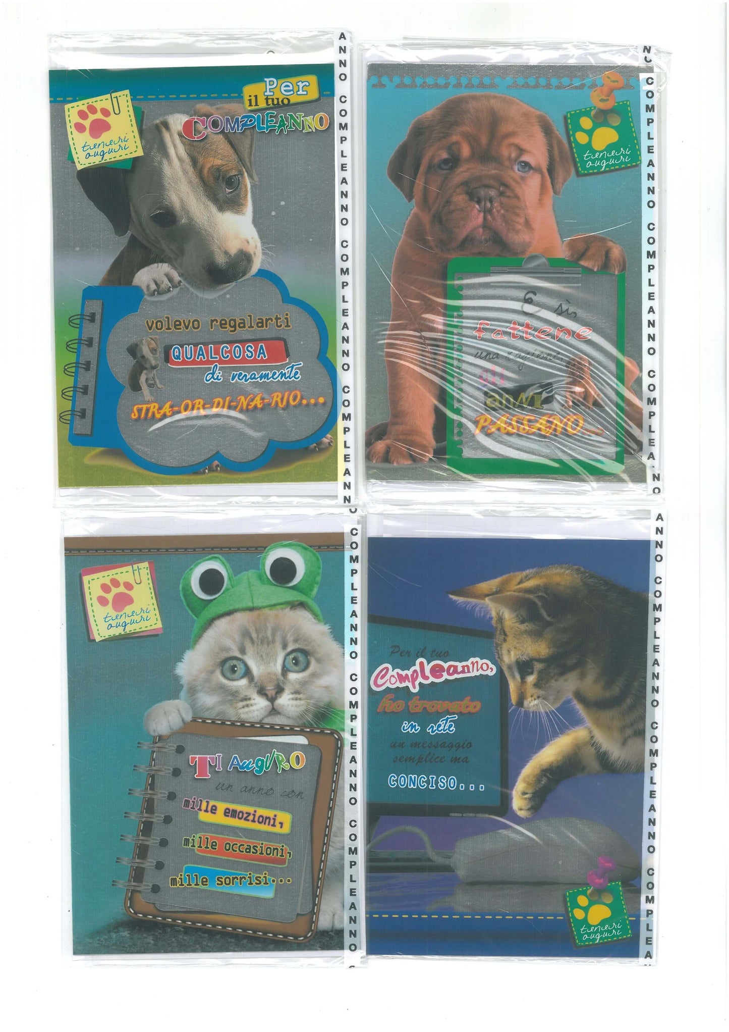 H39178/9 -  COMPLEANNO PHOTO PETS METAL SILVER  (12PZ)