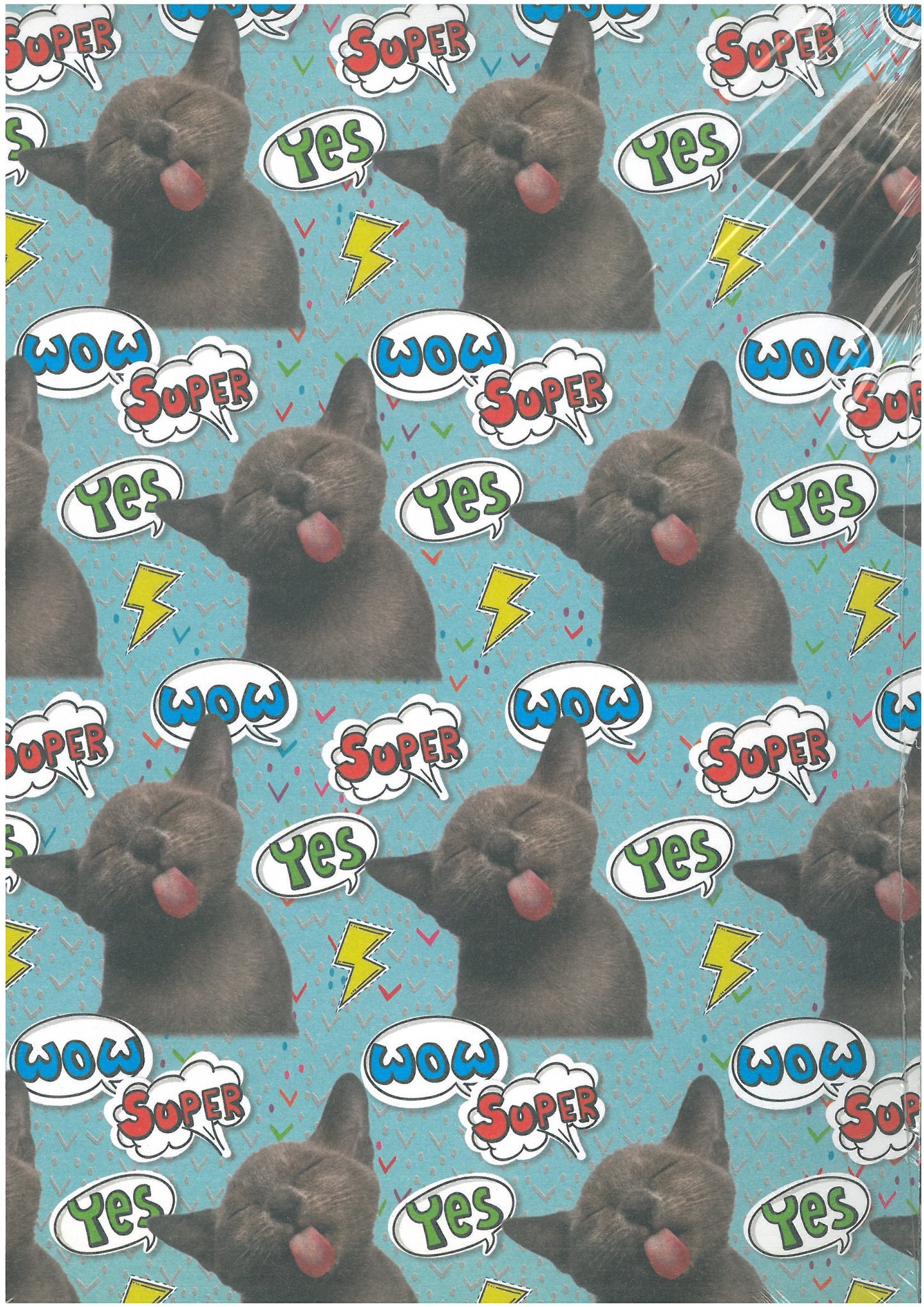 CARTA REGALO MARPIMAR 70X100 QR06