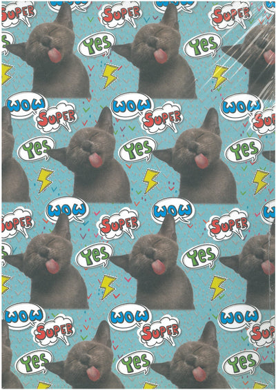 CARTA REGALO MARPIMAR 70X100 QR06