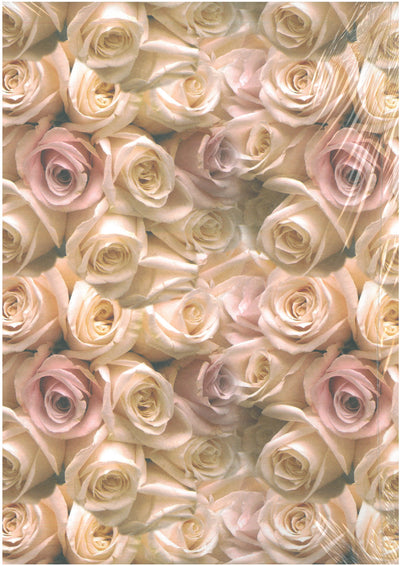 CARTA REGALO MARPIMAR 70X100 R18