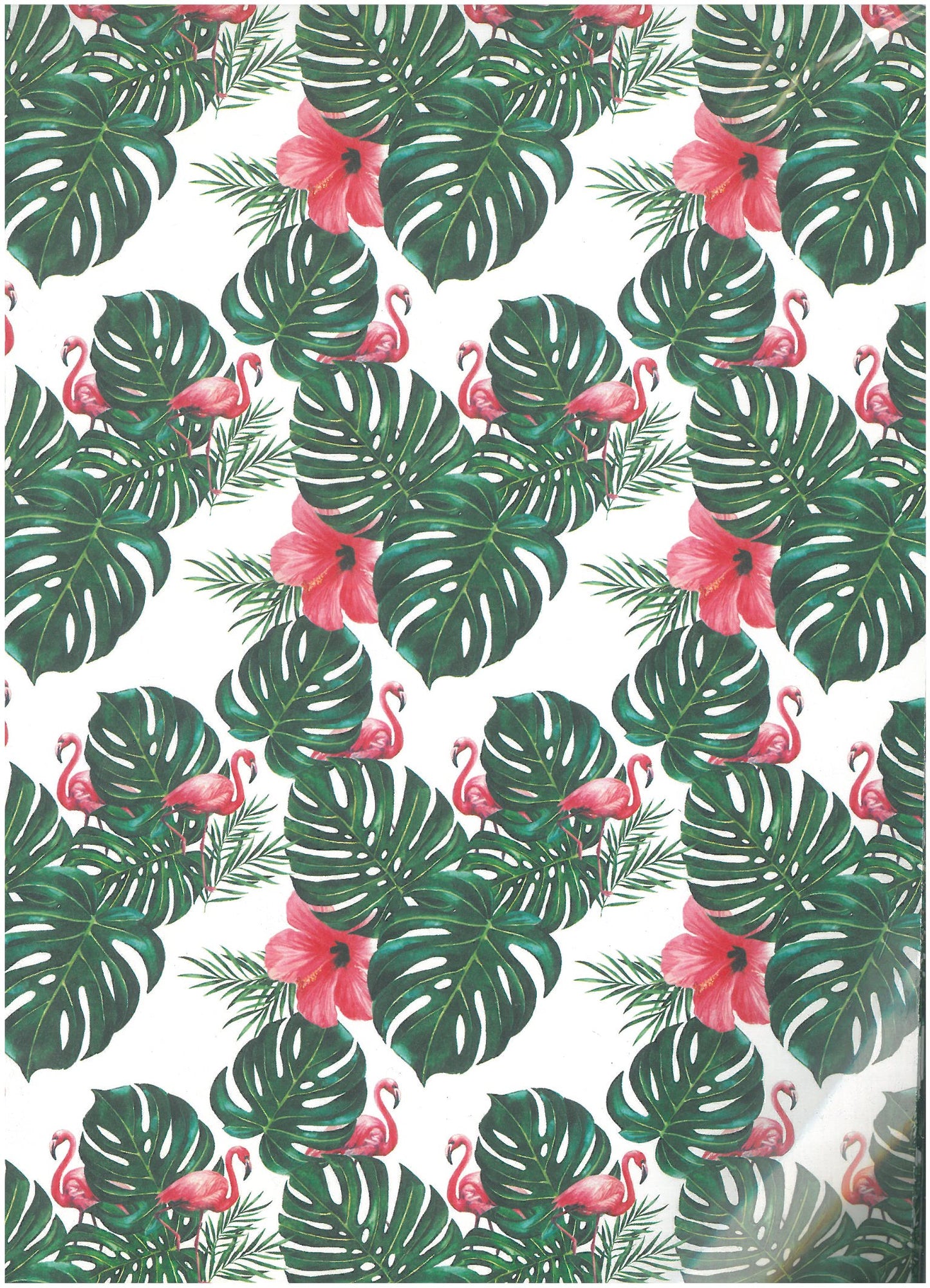 CARTA REGALO MARPIMAR 70X100 QR22 - ER13