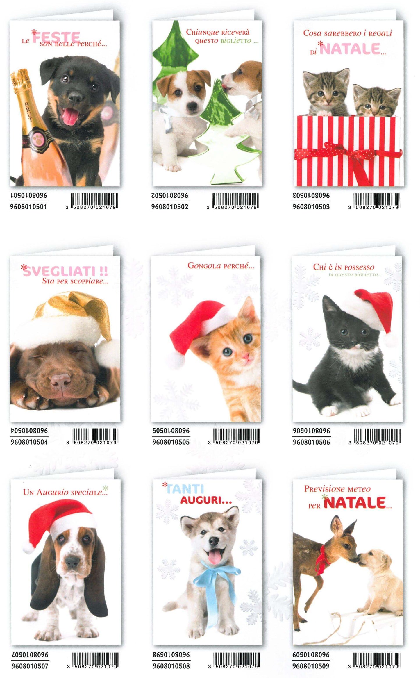 NATALE PET SHOW (12PZ)
9608010510