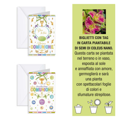 Kartos Biglietti di Prima Comunione con Tag Piantabile ai Semi di Coleus, Oro a Caldo e Buste Bianche (12PZ) 17358901
