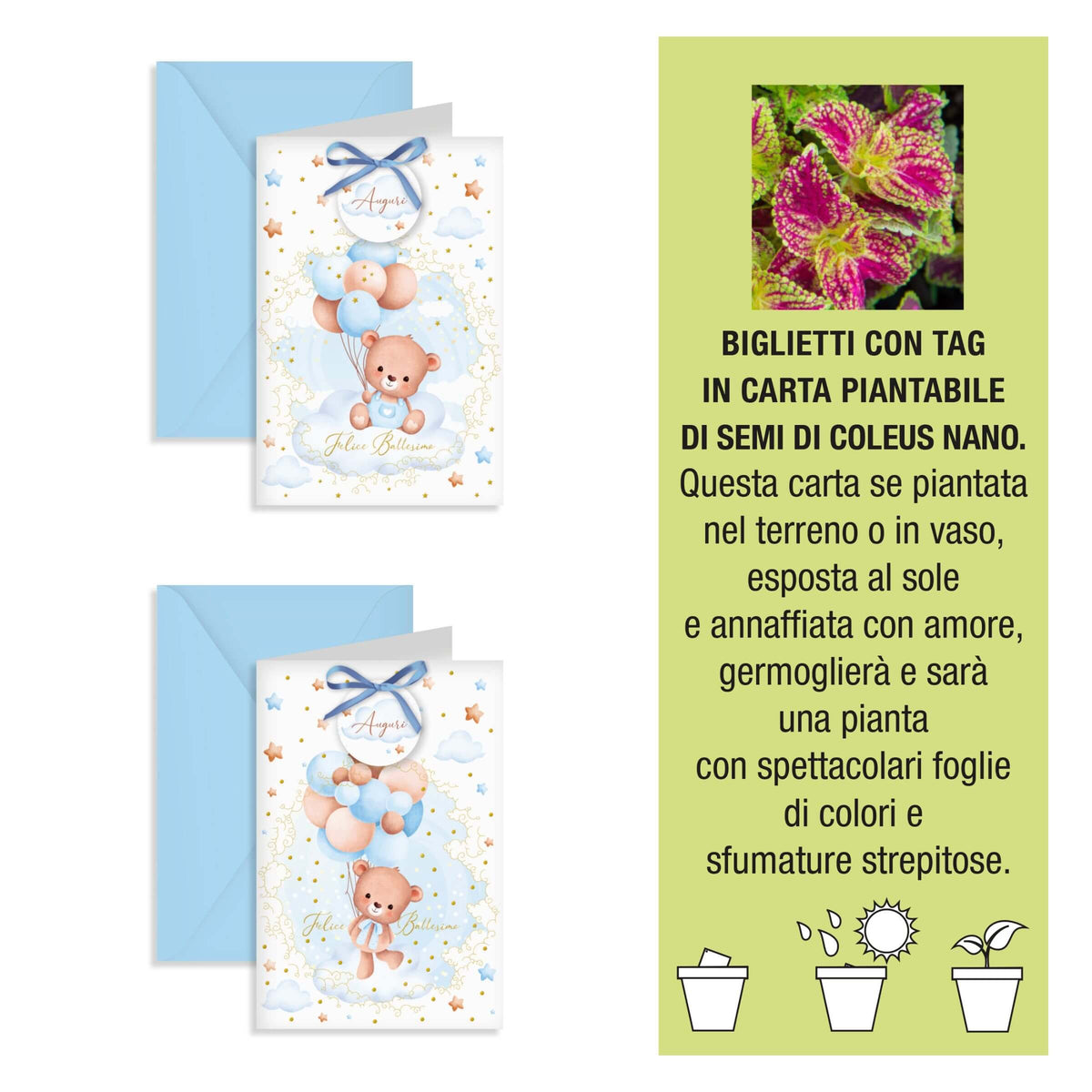 Kartos Biglietti di Auguri per Battesimo Bimbo con Tag Piantabile ai Semi di Coleus, Oro a Caldo e Buste Azzurre (12PZ) 17849410