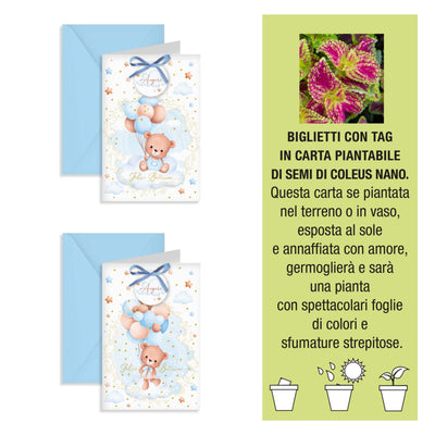 Kartos Biglietti di Auguri per Battesimo Bimbo con Tag Piantabile ai Semi di Coleus, Oro a Caldo e Buste Azzurre (12PZ) 17849410