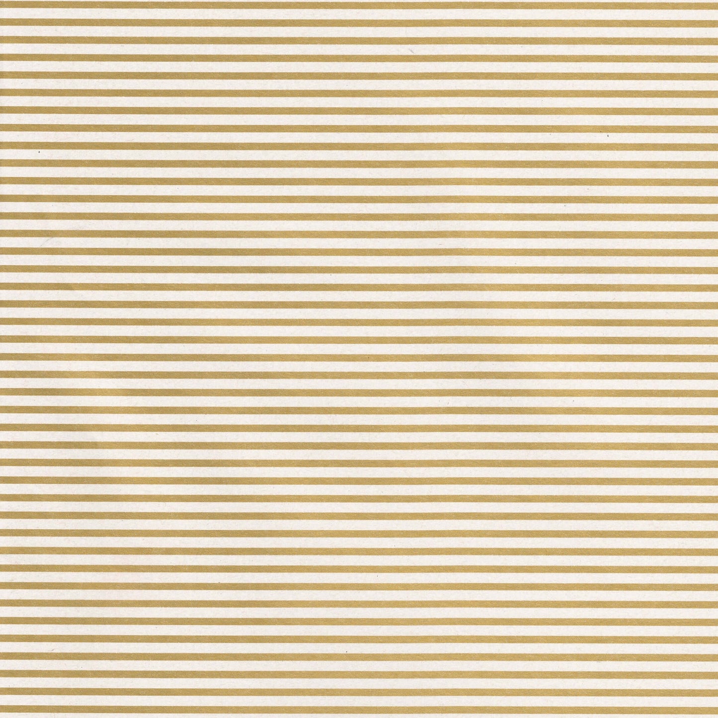 Carta regalo Sadoch ecoCarta bianca con righe oro 70x100 cm in carta riciclata 100%