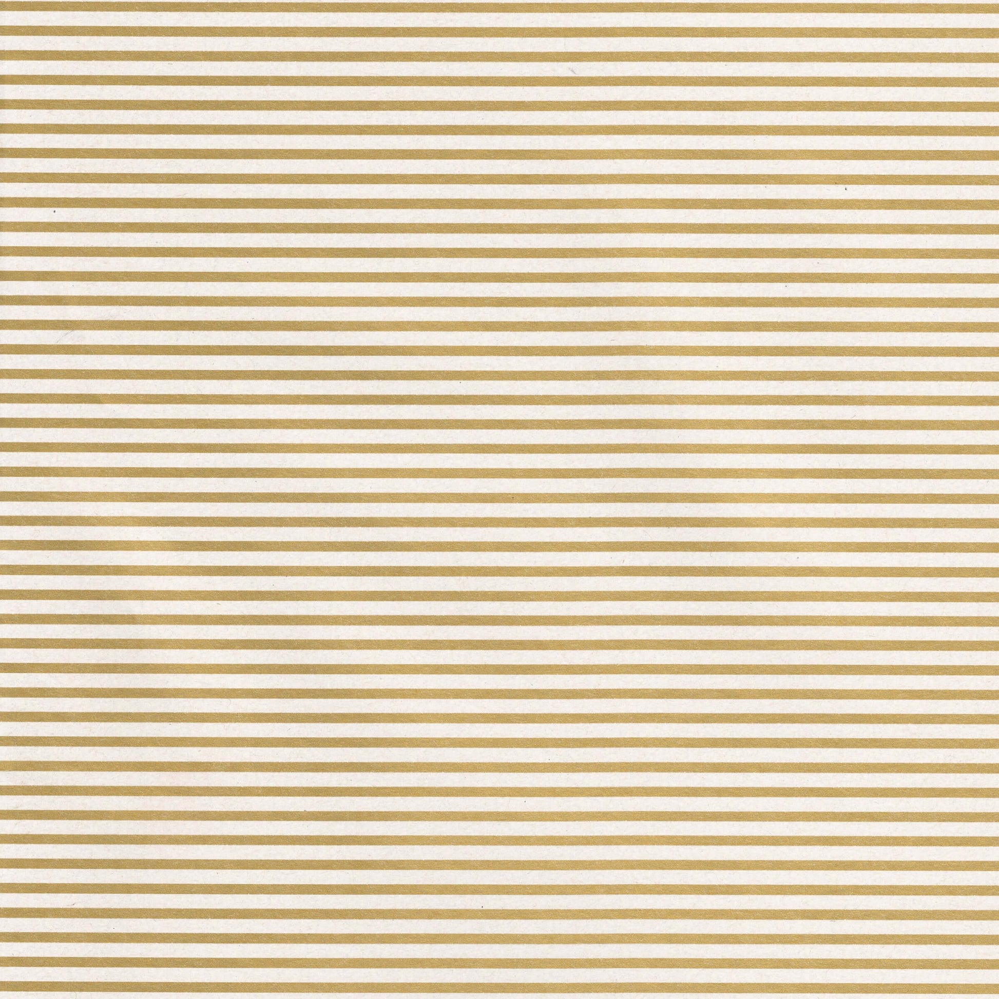 Carta regalo Sadoch ecoCarta bianca con righe oro 70x100 cm in carta riciclata 100%