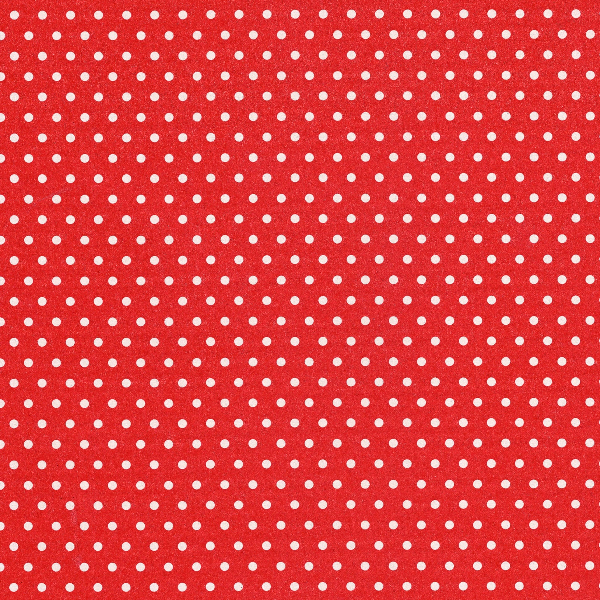 Carta regalo Sadoch ecoCarta rossa con pois bianchi 70x100 cm in carta riciclata 100%