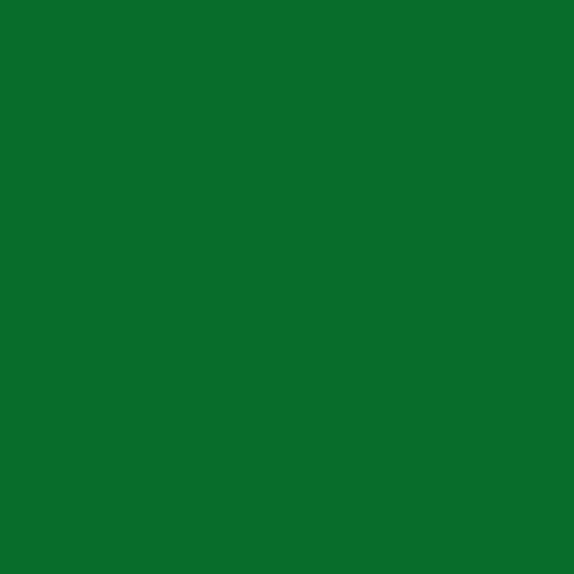 Carta regalo Sadoch Raso Tuttocolore Lucido Verde Scuro 70x100 cm carta patinata alta qualita