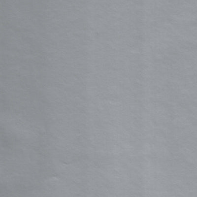 Carta regalo Sadoch Raso Tuttocolore Lucido Argento 70x100 cm carta patinata alta qualita