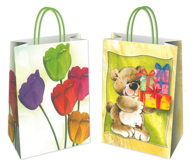 SHOPPER DECORATI PICCOLI  21x8x26 (25PZ)