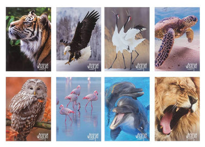 MAXI QUADERNONI A4 80gr - 4mm - Wild Animal (10PZ)