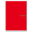 MAXI QUADERNONI A4 80gr - 4F - 4mm con margine - COLORCLUB (10PZ)