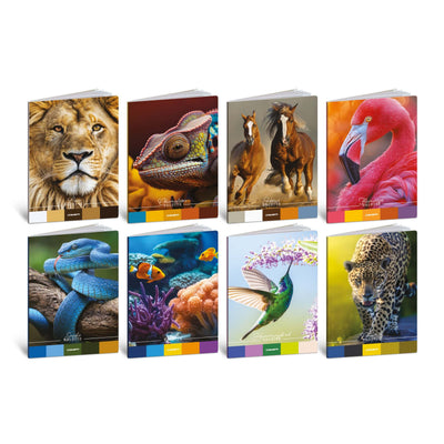 MAXI QUADERNONI A4 80gr - 5mm - ANIMAL PALETTE (10PZ)