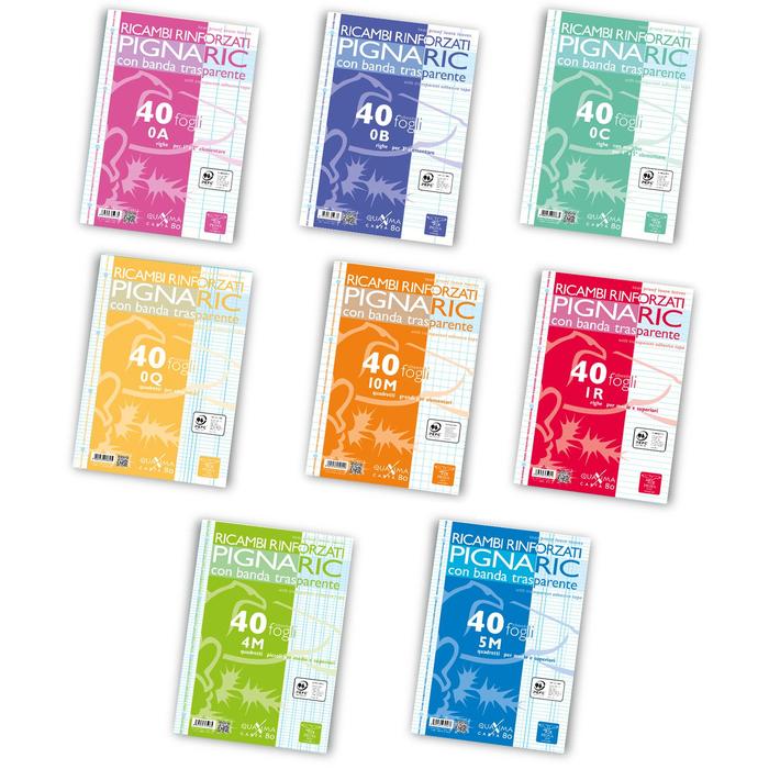 RICAMBI FORATI RINFORZATI PIGNA A4 100gr 4mm - 40 FOGLI