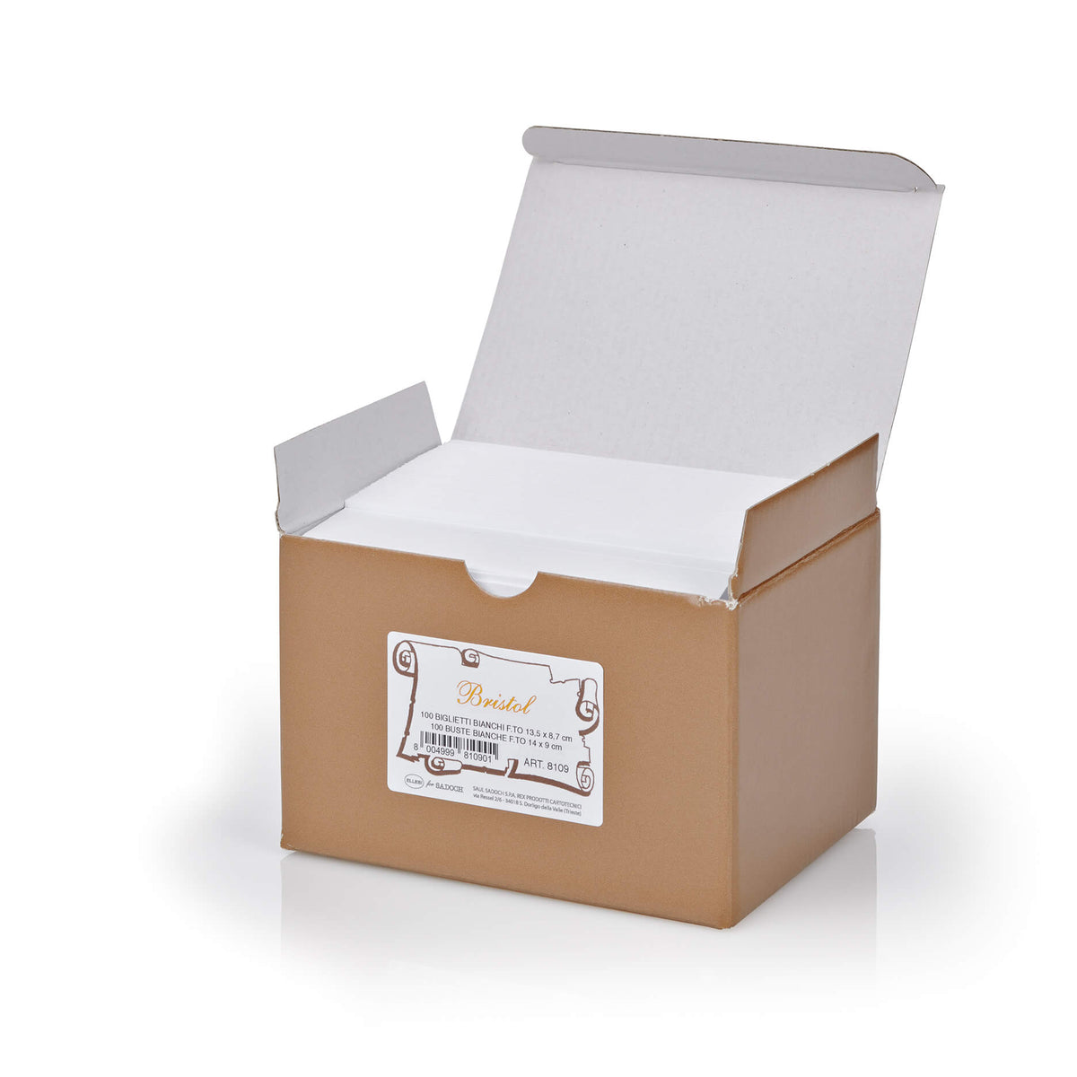 8109  B. VISITA BRISTOL ELLEBI F9  9x14 SPEDIBILE + BUSTE (100PZ)