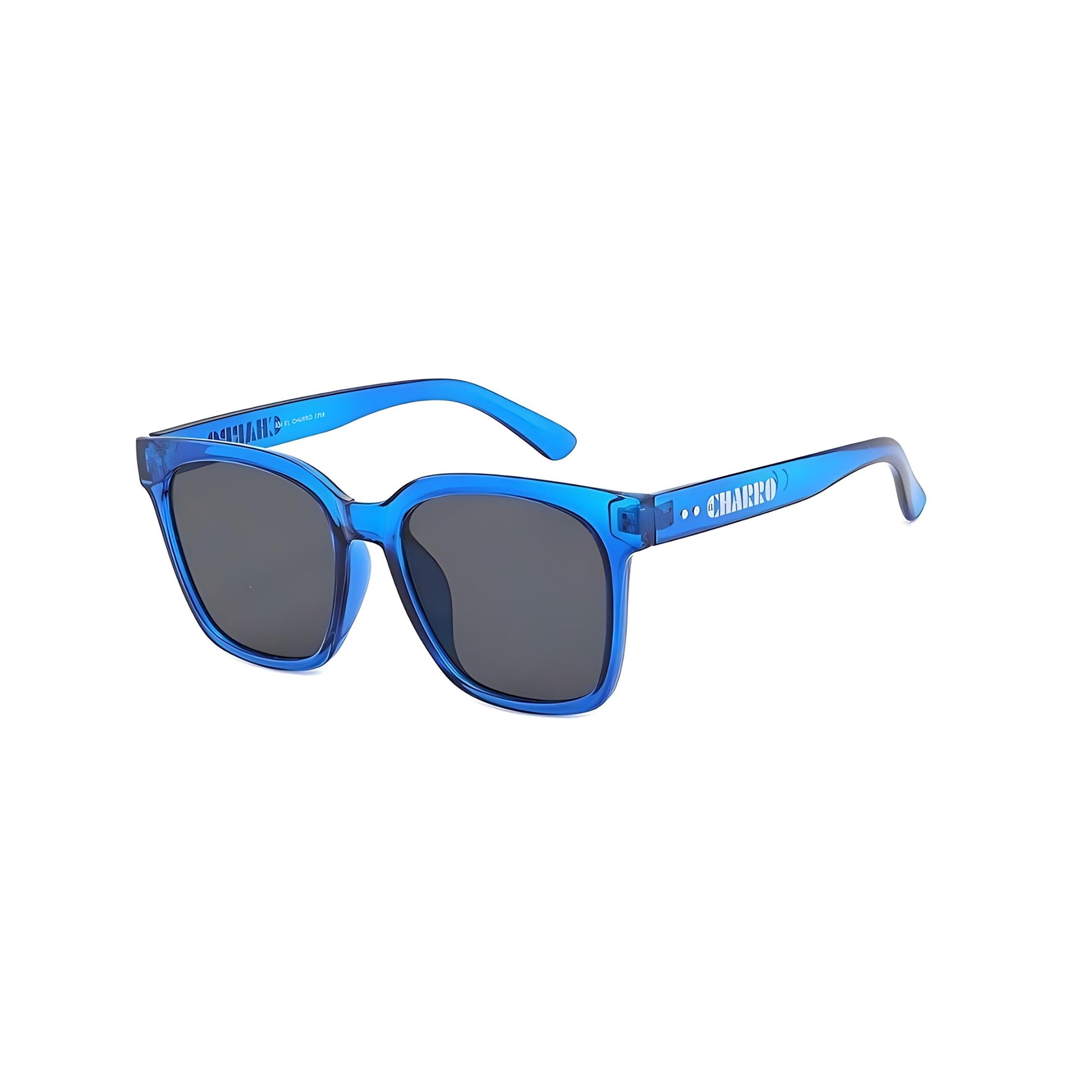 El Charro 2708 Miami montatura blu in acetato lenti grigie UV400