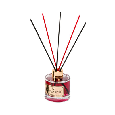 PROFUMATORE AMBIENTE PARFUM DIVIN 120ml