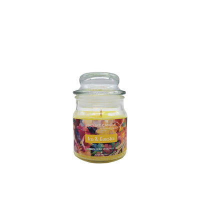 NATURE CANDLE PETALI - CANDELA 90g IRIS & GINESTRA