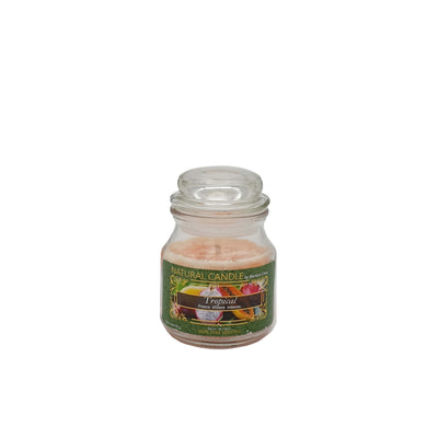 NATURE CANDLE TUTTI I FRUTTI - CANDELA 90g TROPICAL
