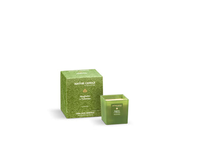NATURE CANDLE LINEA LE PREZIOSE - CANDELA 90g - MUGHETTO E TUBEROSA