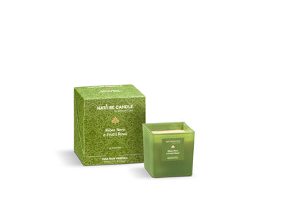 NATURE CANDLE LINEA LE PREZIOSE - CANDELA 210g - RIBES NERO E FRUTTI ROSSI