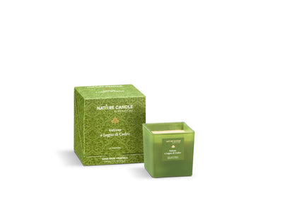 NATURE CANDLE LINEA LE PREZIOSE - CANDELA 210g - VETIVER E LEGNO DI CREDO