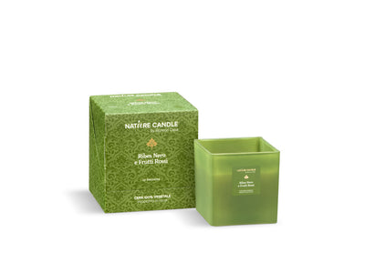 NATURE CANDLE LINEA LE PREZIOSE - CANDELA 330g - RIBES NERO E FRUTTI ROSSI