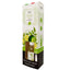 Irge Diffusore Ambiente con Bastoncini Sparkling Lime 125 ml