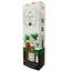 Irge Diffusore Ambiente con Bastoncini Mojito 125 ml