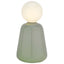 Bagutta Lampada LED a Vaso in Vetro Verde Ricaricabile USB 27 cm