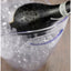 GLACETTE SECCHIELLO KRISTAL TRASPARENTE 3500 ml