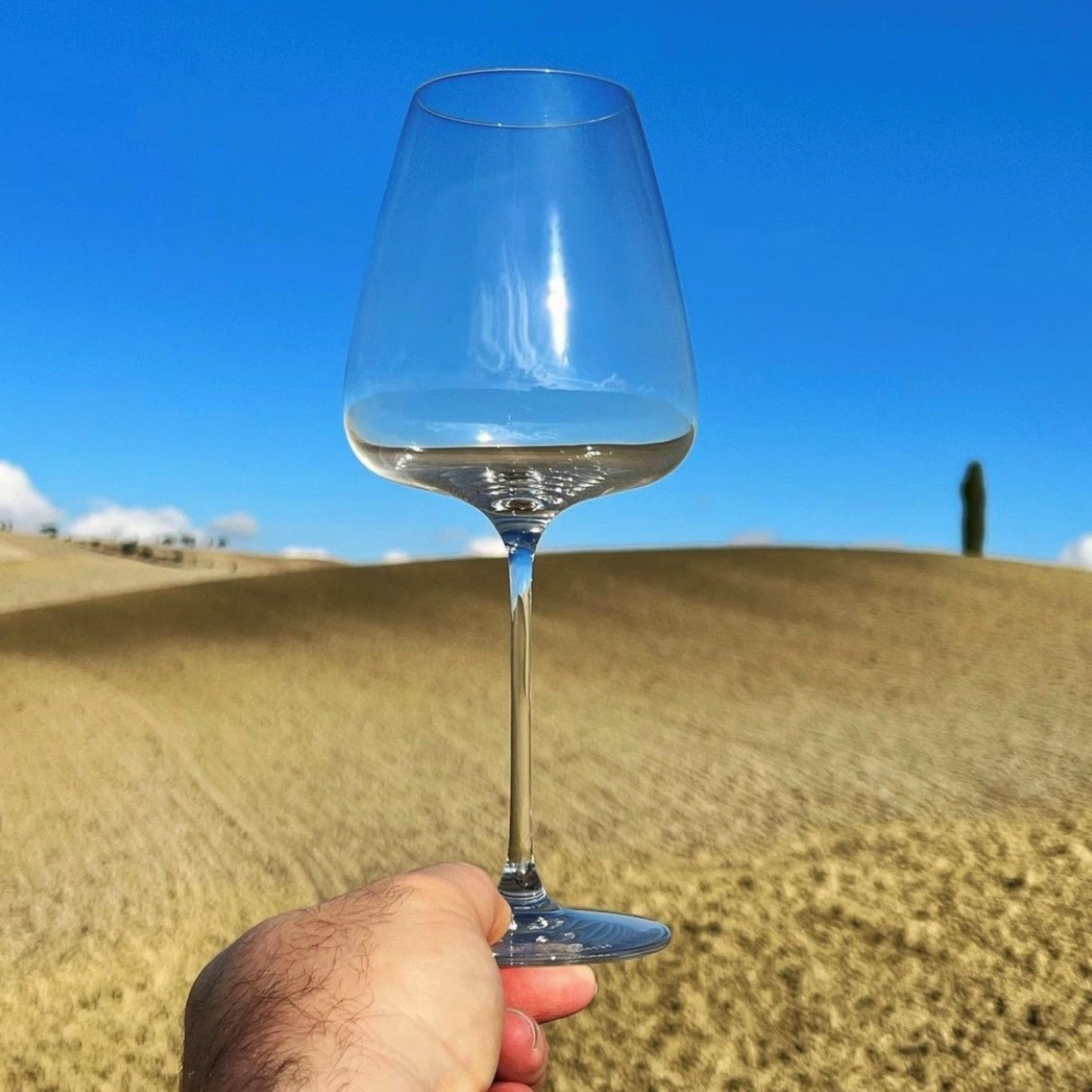 BOX DA 6 CALICI DA DEGUSTAZIONE T-MADE 70 CON MARCHIO ITALESSE 710cc