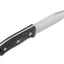 Dettaglio lama D2 clip point full-tang QSP Bison micarta nera