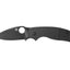 Spyderco SAGE 5 SALT G-10 BLACK BLACK BLADE C123GPBKMCBK