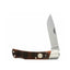 Old Timer GENERATIONAL BRUIN 5OTG 1137133